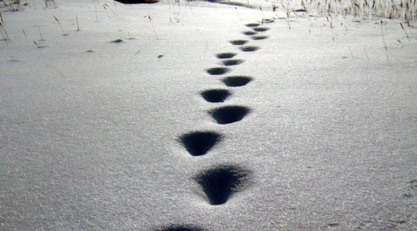 Следы человека на снегу