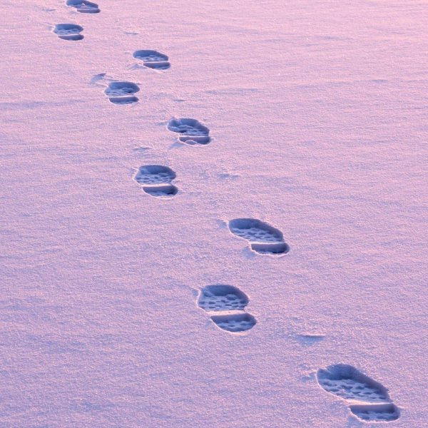 Видимые следы