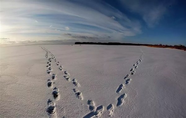 Шаги на снегу