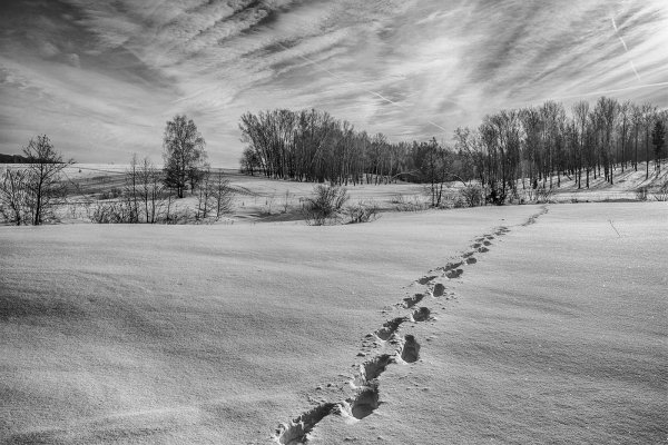 Уходящие следы на снегу