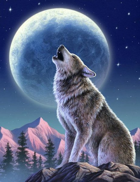 Почему волк воет на луну мультфильм