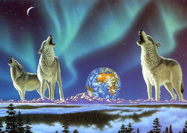 William Schimmel Jr художник