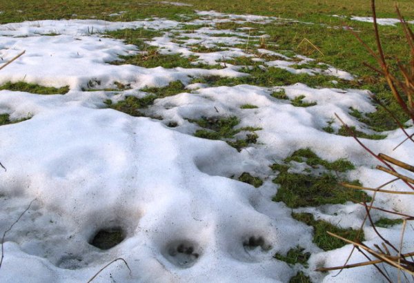 Тает снег для детей