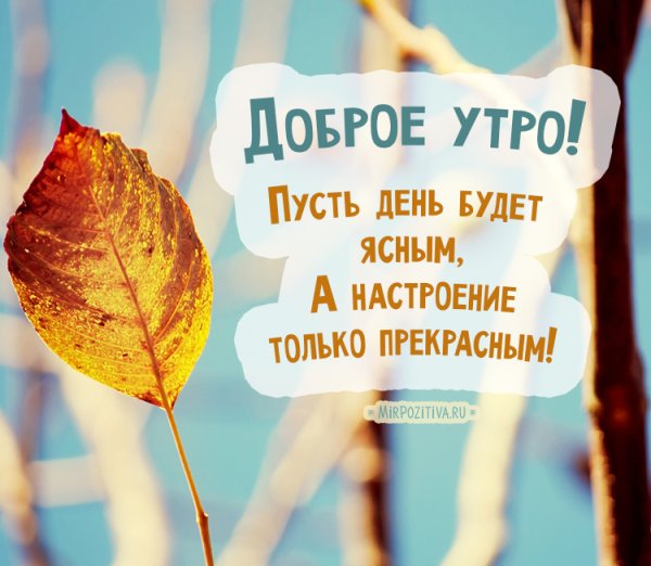 С добрым осенним утром