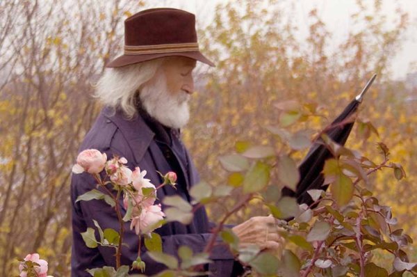 Старик с цветами