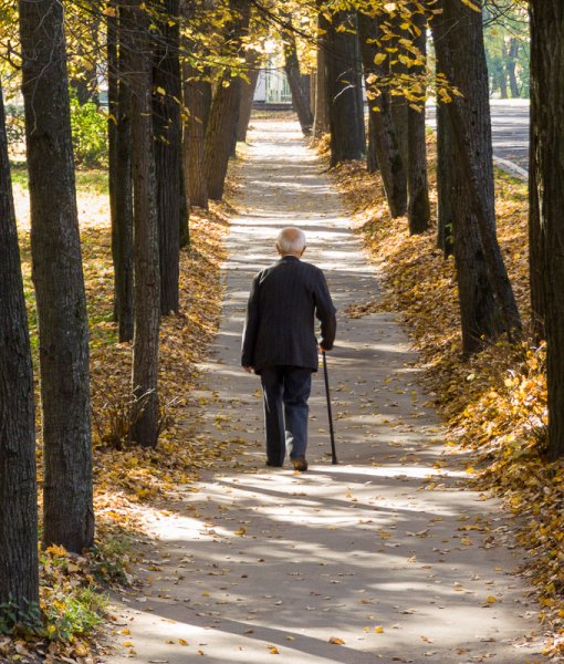 Люди идут по аллее