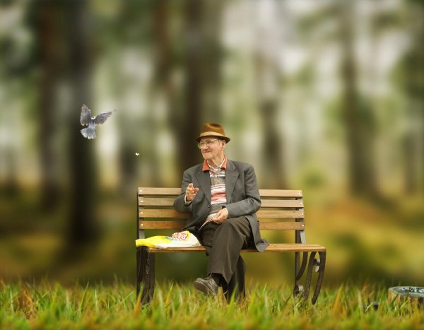 Одинокий старик на скамейке