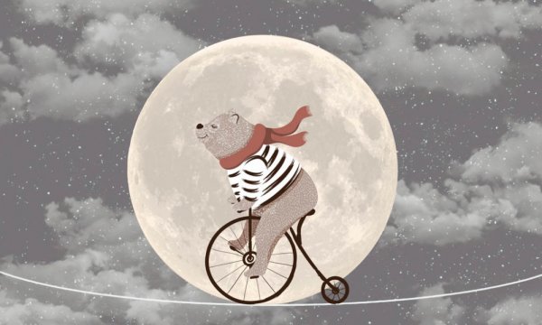 Медвежонок на Луне