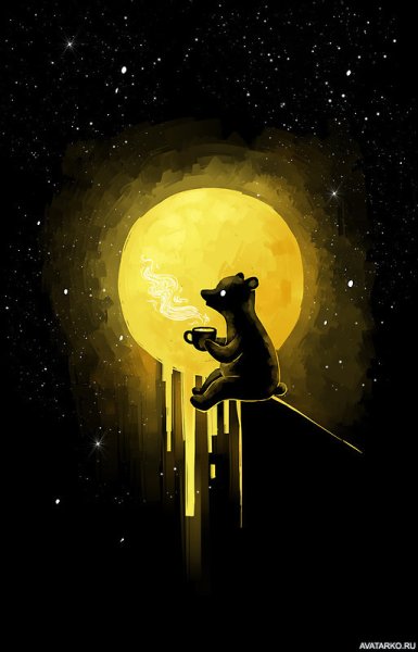 Медведь ночью