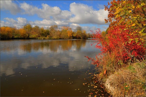 Осень река