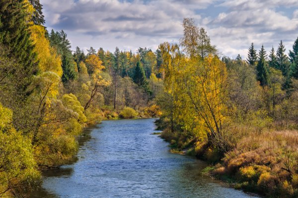 Осень река
