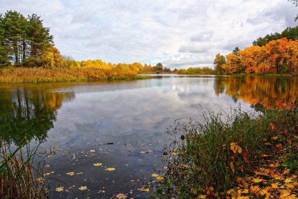 Золотая осень Ярославль река
