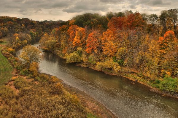 Осень лес река