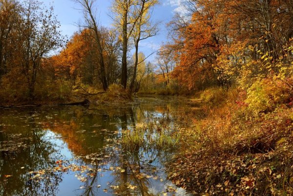 Осенняя река