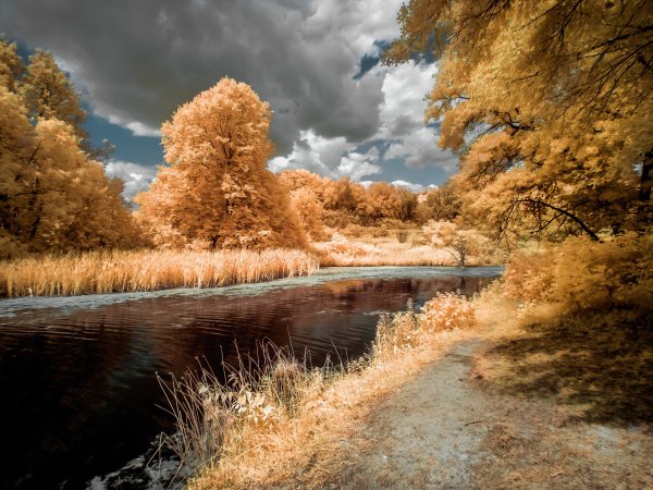 Золотая осень река