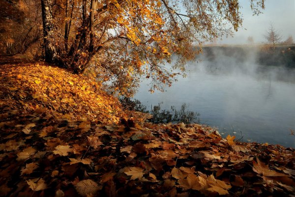 Осенний берег реки