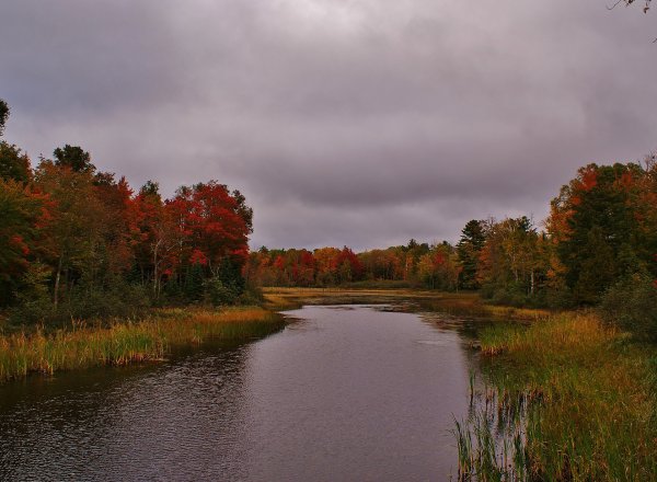 Река Тулва осень