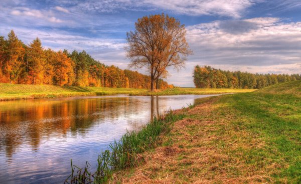 Поназырево осень река