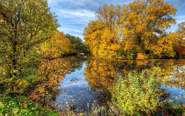 Золотая осень парк речка