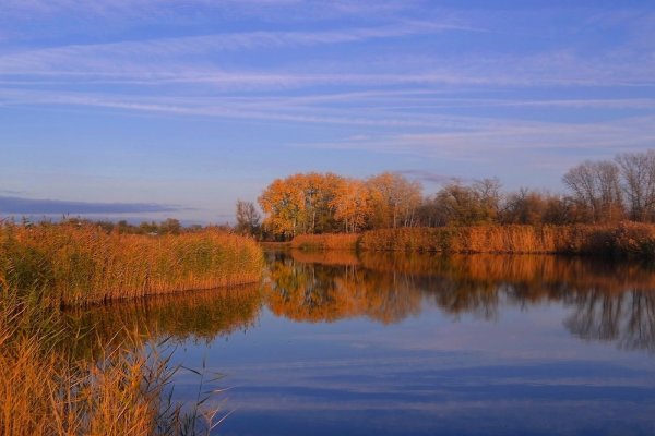 Река Богучарка Воронежская область