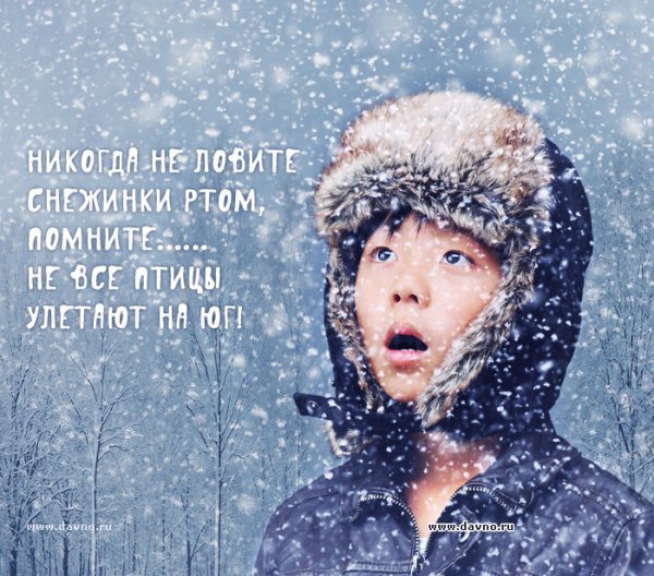 Смешные фразы про снег