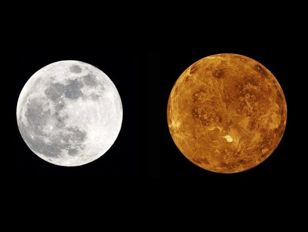 Луна и Венера