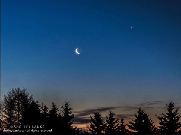 Месяц и Венера на небе