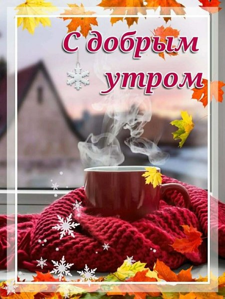 С добрым осенним утром и хорошим днём