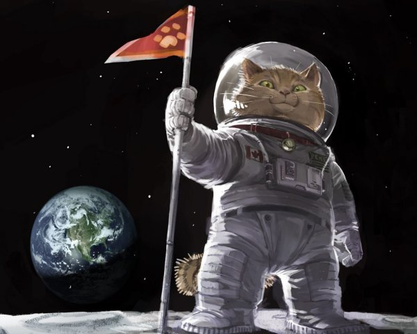 Тигр в скафандре арт