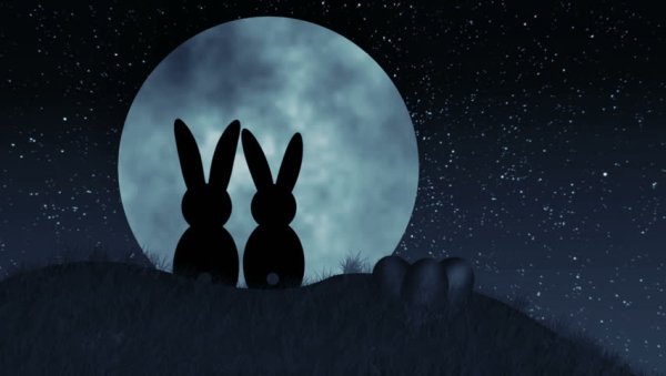 Кролик на фоне Луны