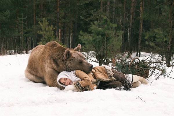 Медведь зимой в лесу