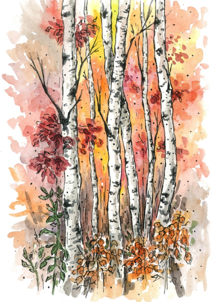 Рисунок осень