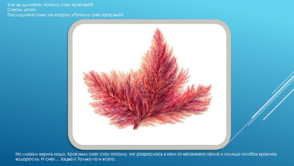 Пересказ «загадочных историй» (по н. Сладкову).