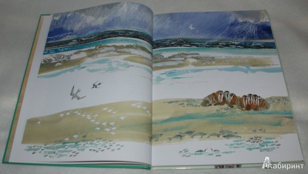 Сладков «разноцветная земля. Пустыня.»