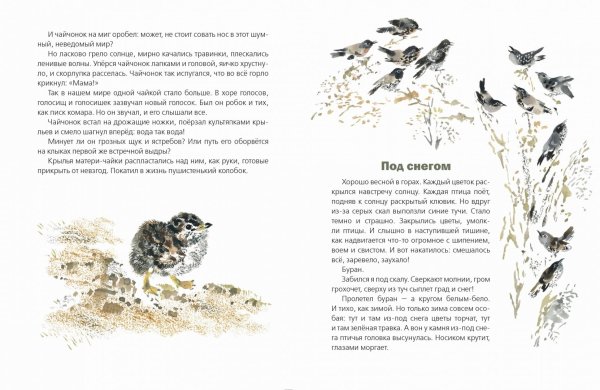 Николай Сладков под снегом