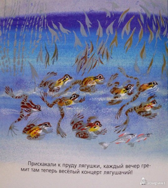 Бобровый пруд Сладков