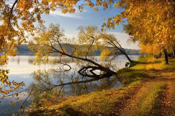 Золотая осень