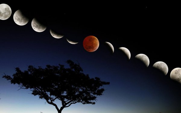 Лунный месяц