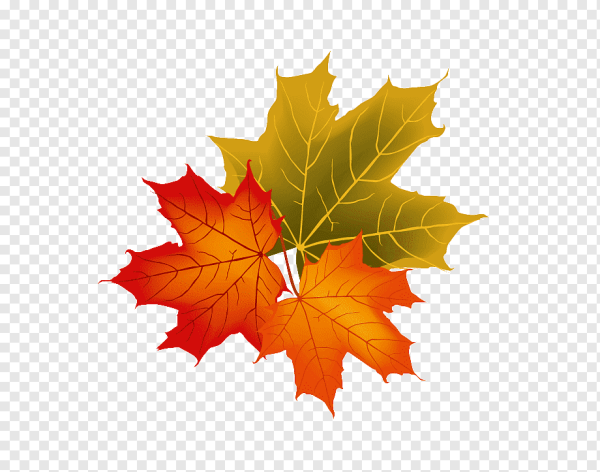 Осенние листья клипарт
