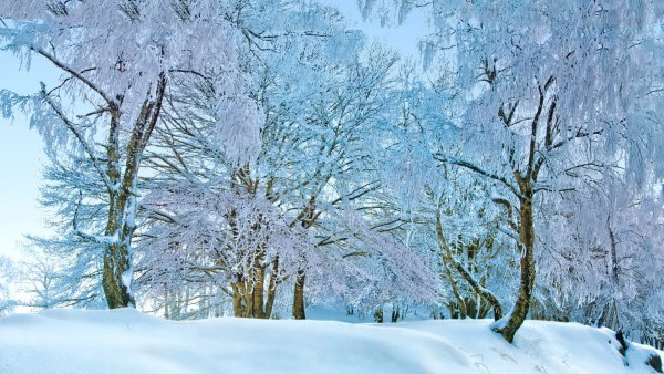 Снежный пейзаж