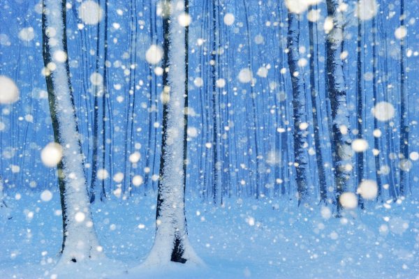 Зима падает снег