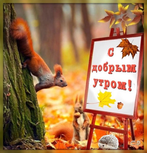Доброе осеннее утро ноября