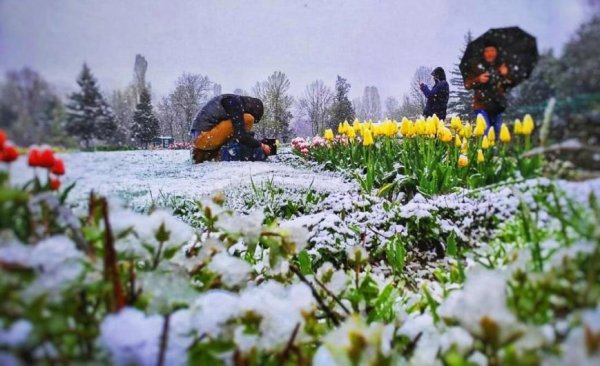 Снег в апреле
