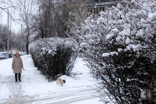 Фото снег в Подмосковье