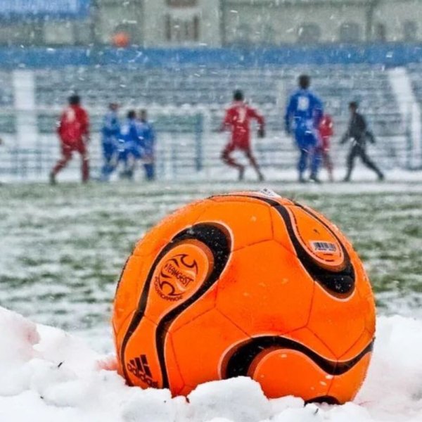 Зимний мяч