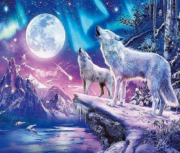 Волк и Луна