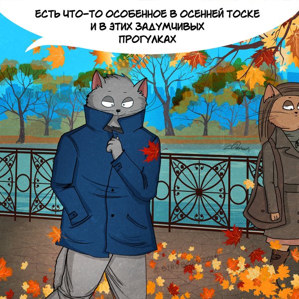 Бирд Борн коты