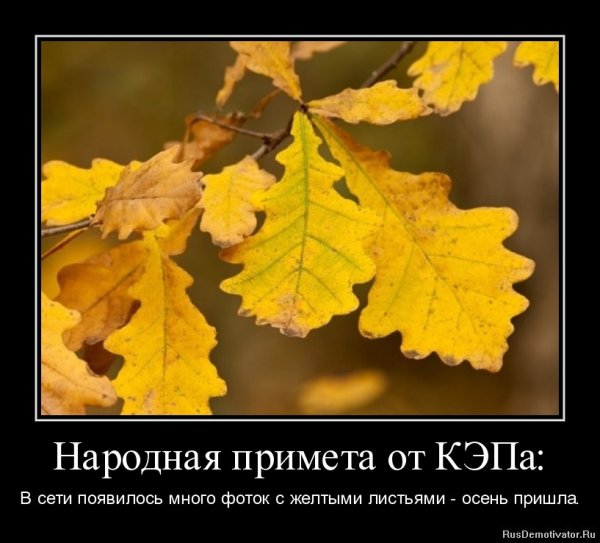 Приколы про осень