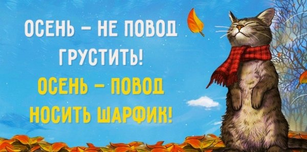 Шутки про осень