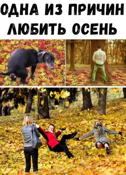 Приколы про осень